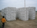 Some cement houses that people in the Movement are building