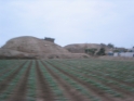 Blurry, but I liked the fields