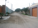 The street where I live, a little off-shoot from the Panamericana, the main highway along the coast (my house is on the end on the right by the bigger tree)