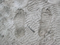 My feet, preserved at the lagoon for at least a day or so probably