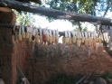 Almost everyone has corn drying in their houses