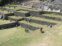 The llamas were brought in for the enjoyment of the tourists