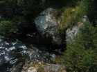 Next image